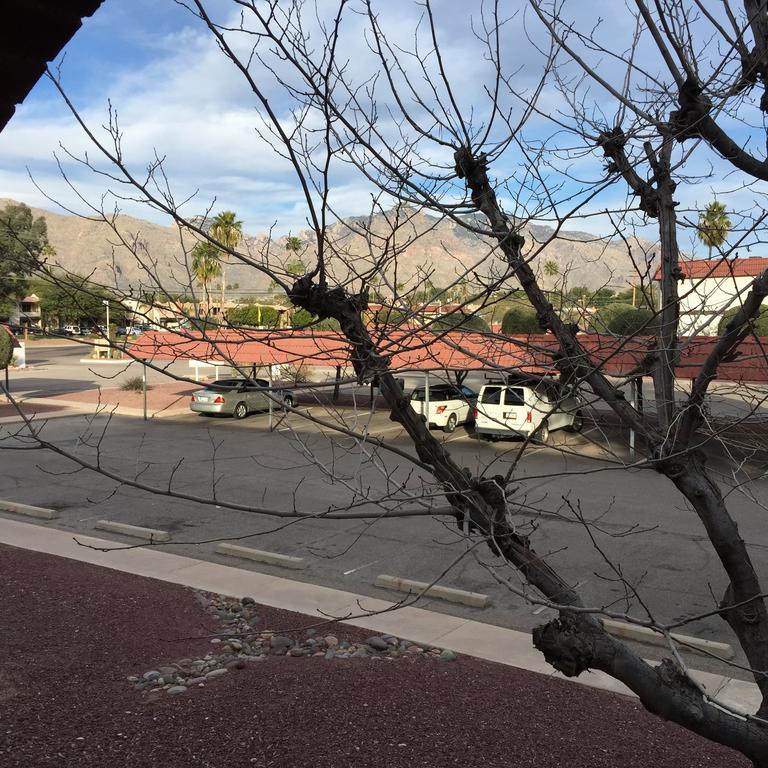 Casas Adobes Condo Tucson Pokój zdjęcie